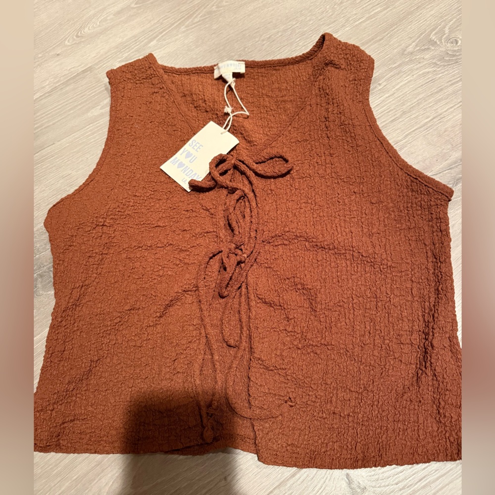 Sleeveless Textured Tie-Waist Top in Rust